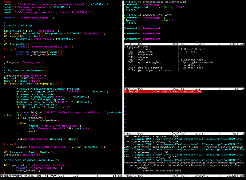 xdebug-vim.png